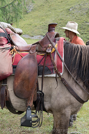 StoneHorseMongolia-byLWoodward-2423
