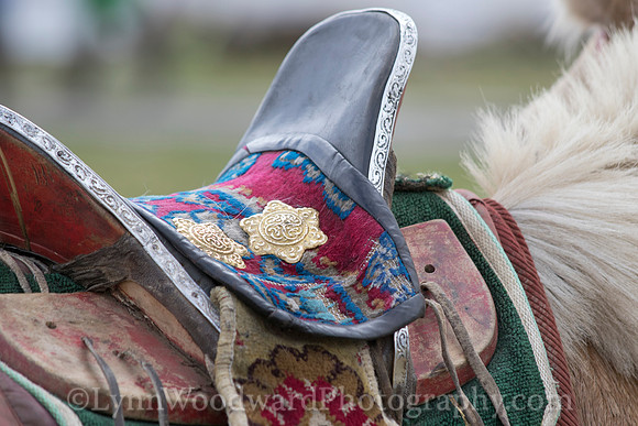 Mongolia-archtourn-LW-7-1167