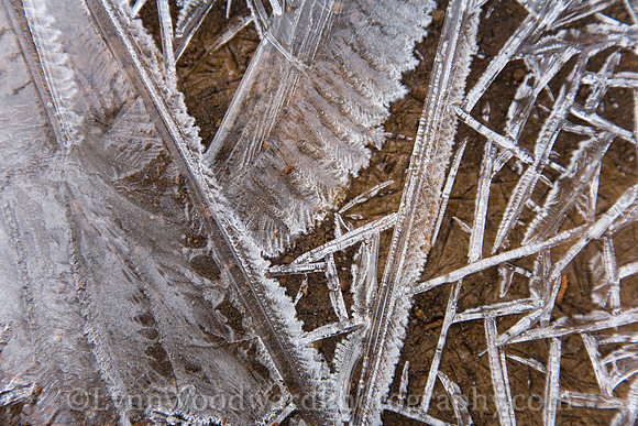 Ice Feather