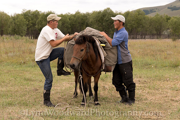 StoneHorseMongolia-byLWoodward-2533