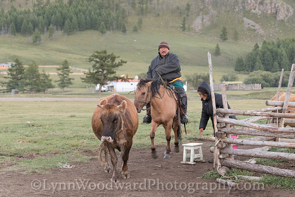 GerStayMongolia-byLWoodward-2902