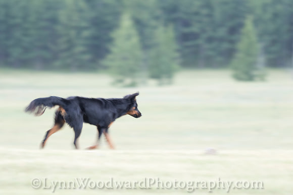 GerStayMongolia-byLWoodward-2718