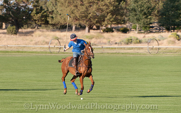 polo scrimmage match
