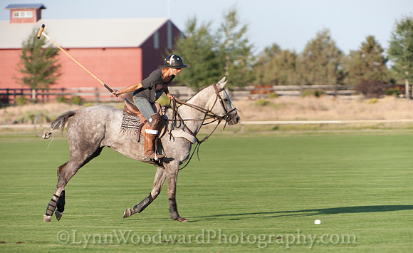 polo scrimmage match