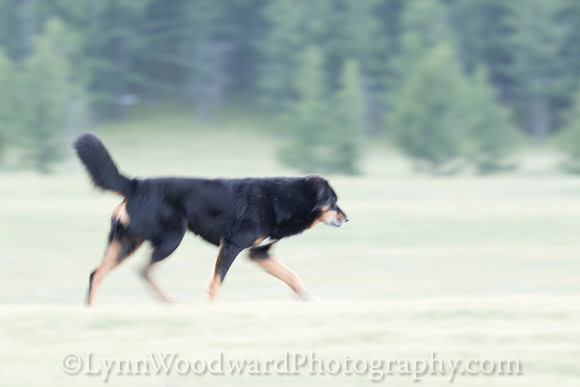 GerStayMongolia-byLWoodward-2720