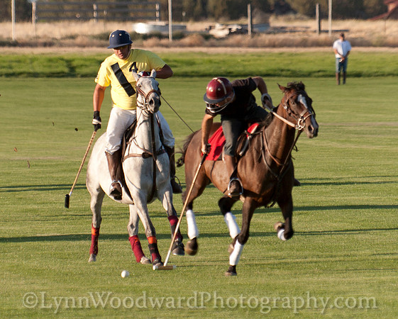 polo scrimmage match