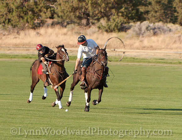 polo scrimmage match
